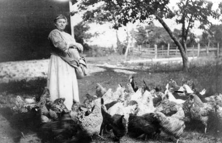 Grandma Friess with Chickens
